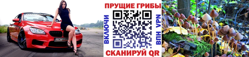omg рабочий сайт  Хадыженск  Псилоцибиновые грибы Magic Shrooms 